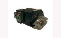 Zahnradpumpe satz 65PS